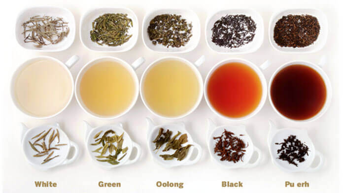 Phân biệt các loại trà